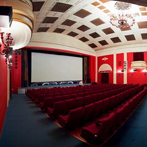Кинотеатры Алтайского